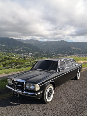 ESCAZU-MANSION-MOUNTAINS.-MERCEDES-W123-LIMOc8b75cae5ca27920.jpg