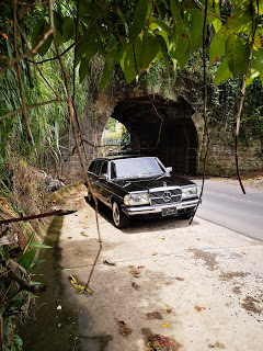 El-tunel-en-la-carretera-a-Turrialba-COSTA-RICA.-300D-LIMOUSINE-W12309aa6f3937c5d5e4.jpg