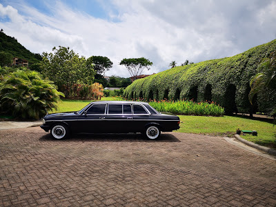 GREEN-GARDEN-AND-MERCEDES-LIMOUSINE.-LOS-SUENOS-COSTA-RICA81404bba2731592e.jpg