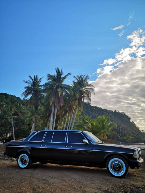 JACO-BEACH-PALM-TREE-LIMOUSINE-CENTRAL-AMERICA1fdda37586811646.jpg