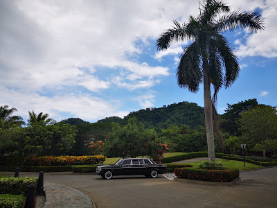 LARGE-PALM-TREE-AND-MERCEDES-LIMOUSINE-COSTA-RICA453d3d0c37a7183b.jpg