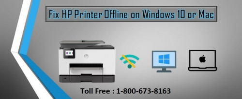 HP-Printer-Offline-Error-on-Windows-104da02b9a48899d94.jpg