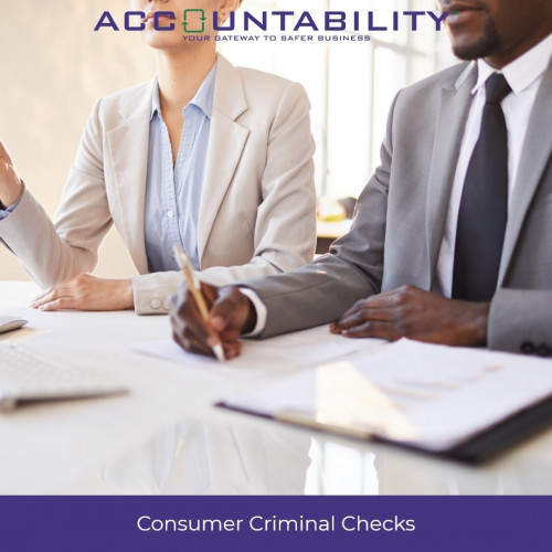 Consumer Criminal Checks