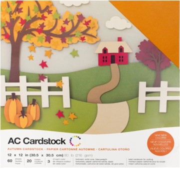 American-Crafts-Cardstock901a31fbe430e6e7.jpg