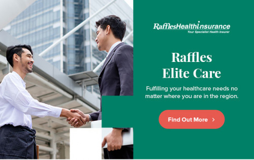 Health Insurance Company Raffles Health Insurance