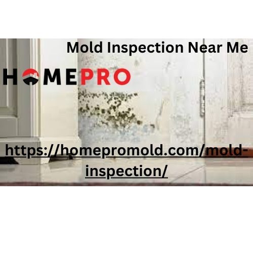mold-inspection-near-me6b0a1b4df0bd6321.jpg