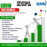 Kaaliconsulting-Grow-your-businessbdc195bbcabb9c65