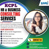 Kaaliconsulting-HR-business-compliance-services3669bdd5ef8a8776