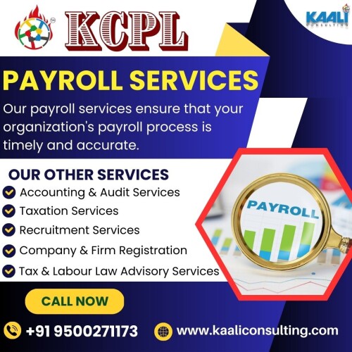 PayrollServices-Kaaliconsulting3e12bf7730f12f67.jpg