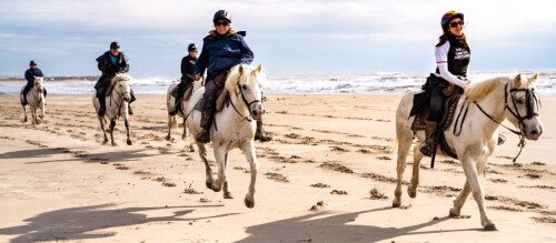 Adventurous-Beach-riding-In-Sydney-Horse-Riding-Now1b83235ff12f1e90.jpg