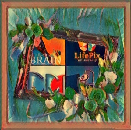 The-business-brain-podcast-by-ST-Rappaport-of-LifePix-University-guest-trainer-Richard-Blank14cc707907889d03.jpg