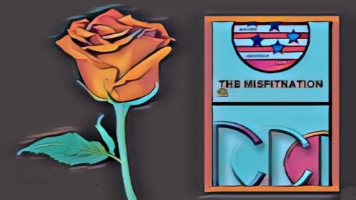 The-Misfit-Nation-show-B2C-expert-guest-Richard-Blank-Costa-Ricas-Call-Center28cfef42f46720ab.jpg