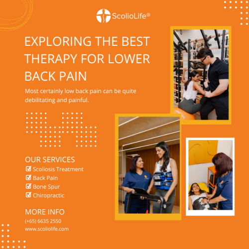 Exploring-the-Best-Therapy-for-Lower-Back-Pain2f2ee6b309962e22.png