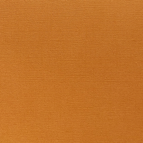 18.-Tan-Cardstock6254da94e4b423fd.png