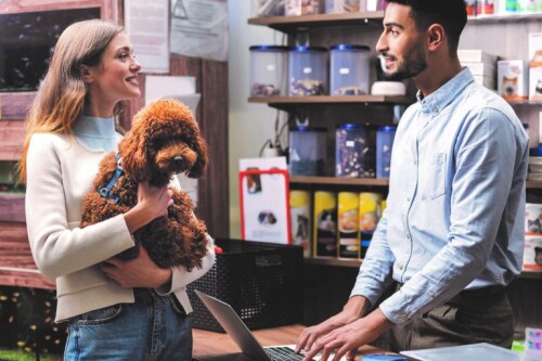 Pets-and-Franchising-The-Pet-supplies-accessories-pet-care-and-training-sectored3ba63c0e66ab67.jpg