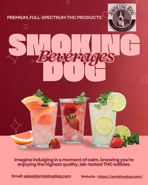 Smoking-Doge1277a22ccbbf2d1.jpg