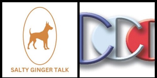 Salty-Ginger-Talk-Interview-sales-guest-Richard-Blank-Costa-Ricas-Call-Center.d6e196c9bf915343.jpg
